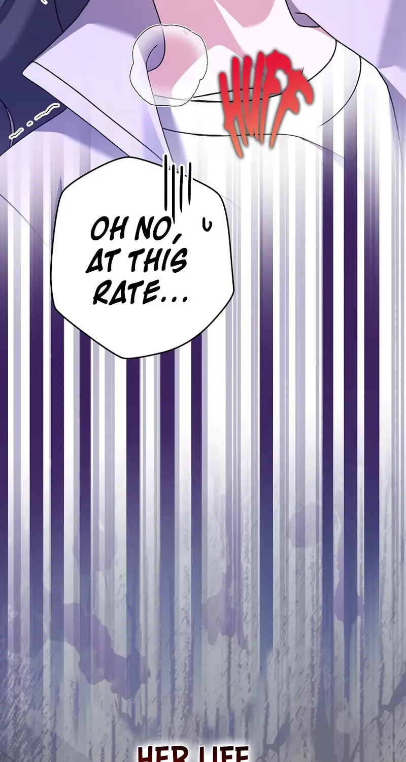 The Novel