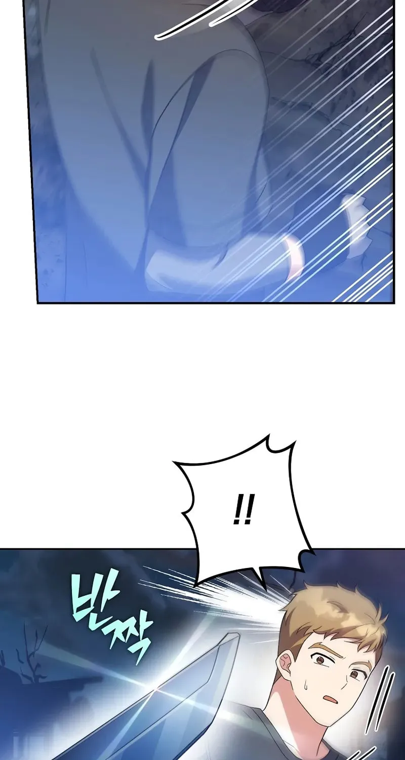 The Novel