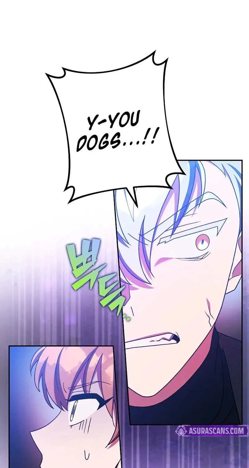 The Novel