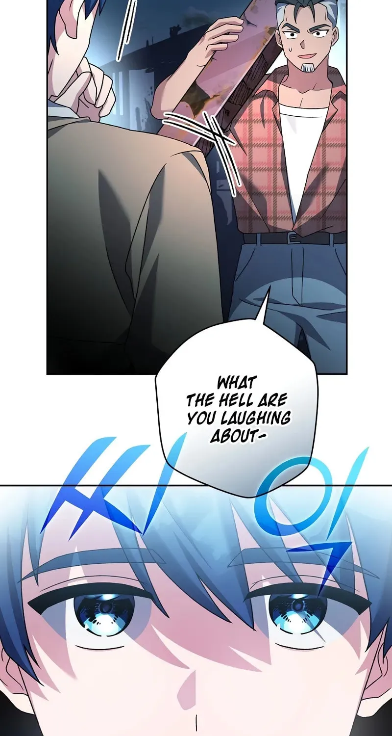 The Novel