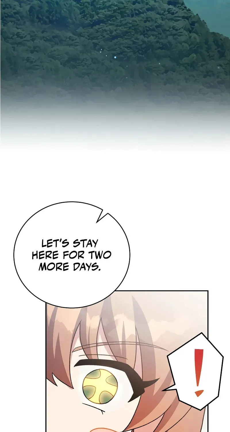 The Novel