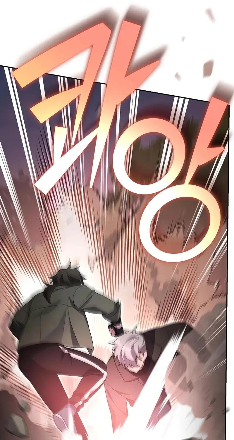 The Novel