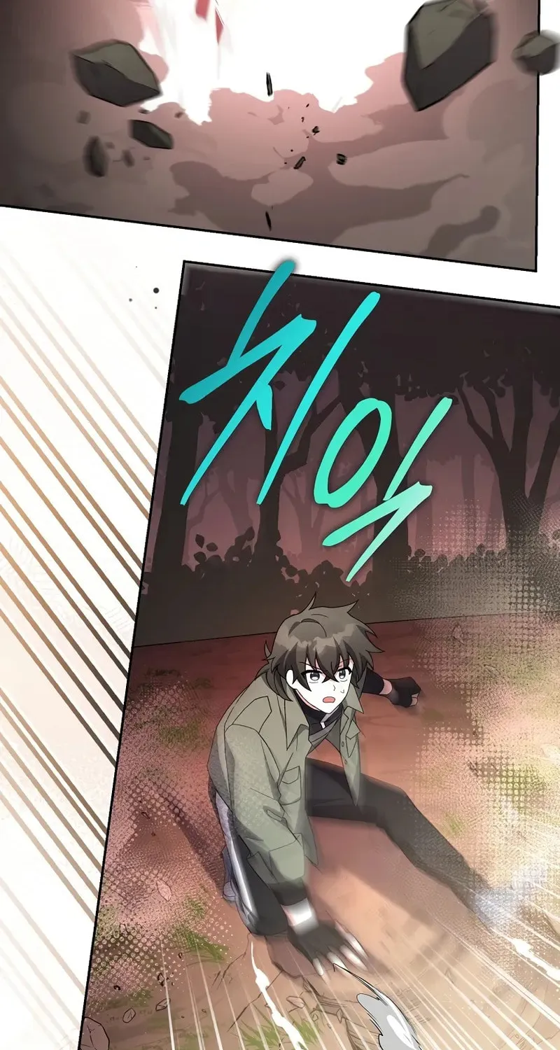 The Novel