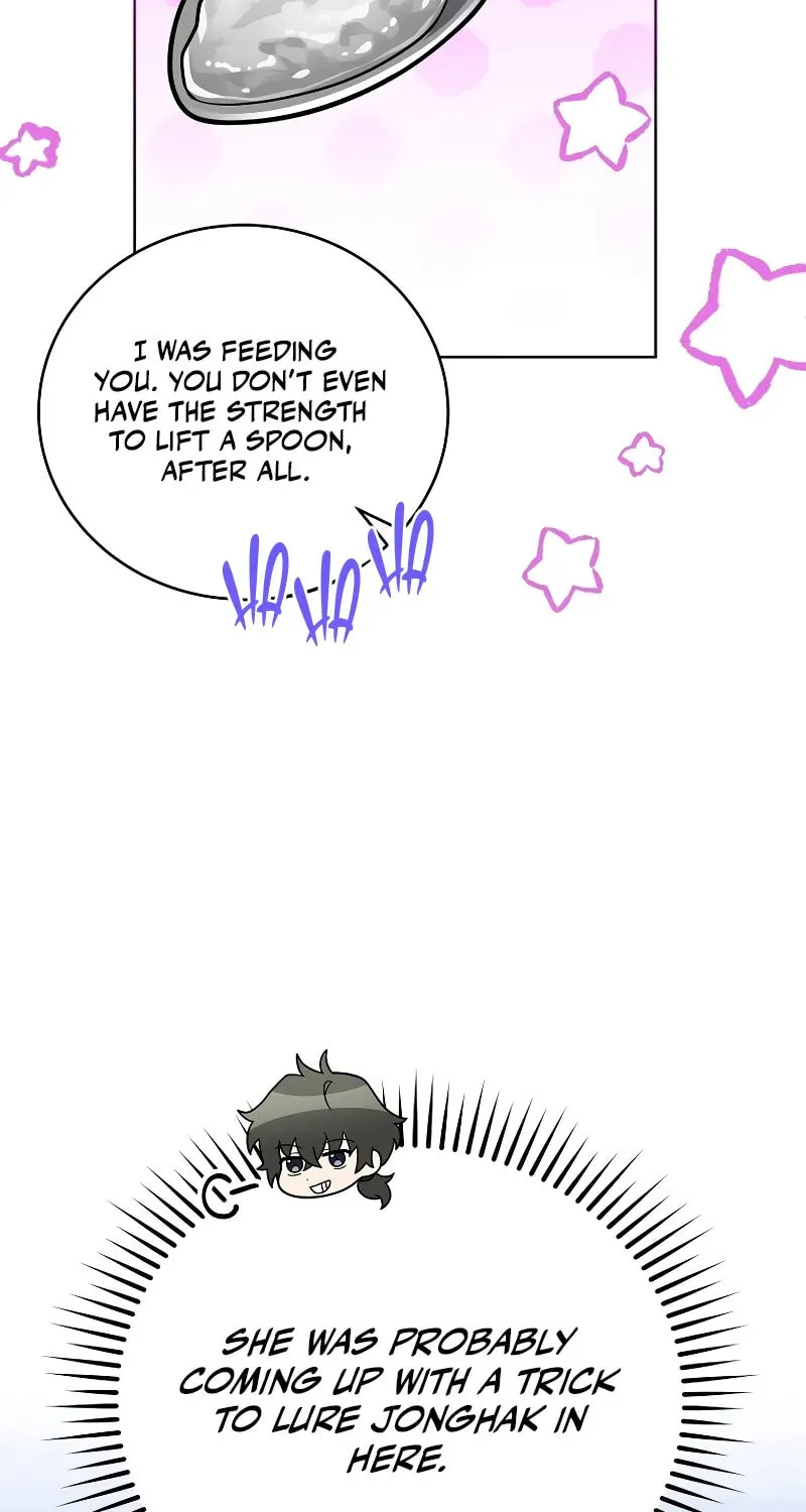 The Novel