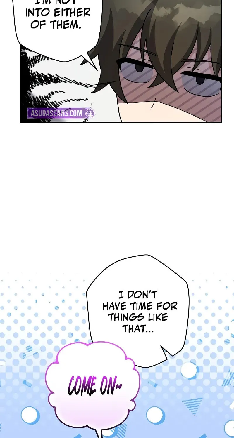 The Novel