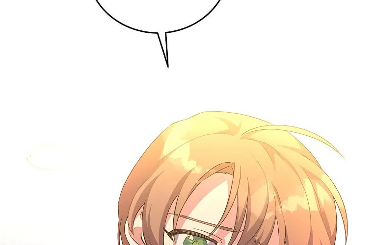 The Novel