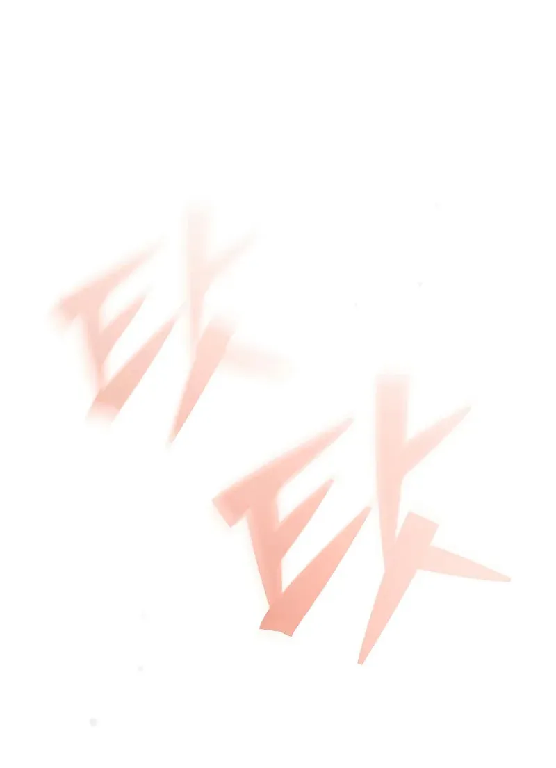 The Novel
