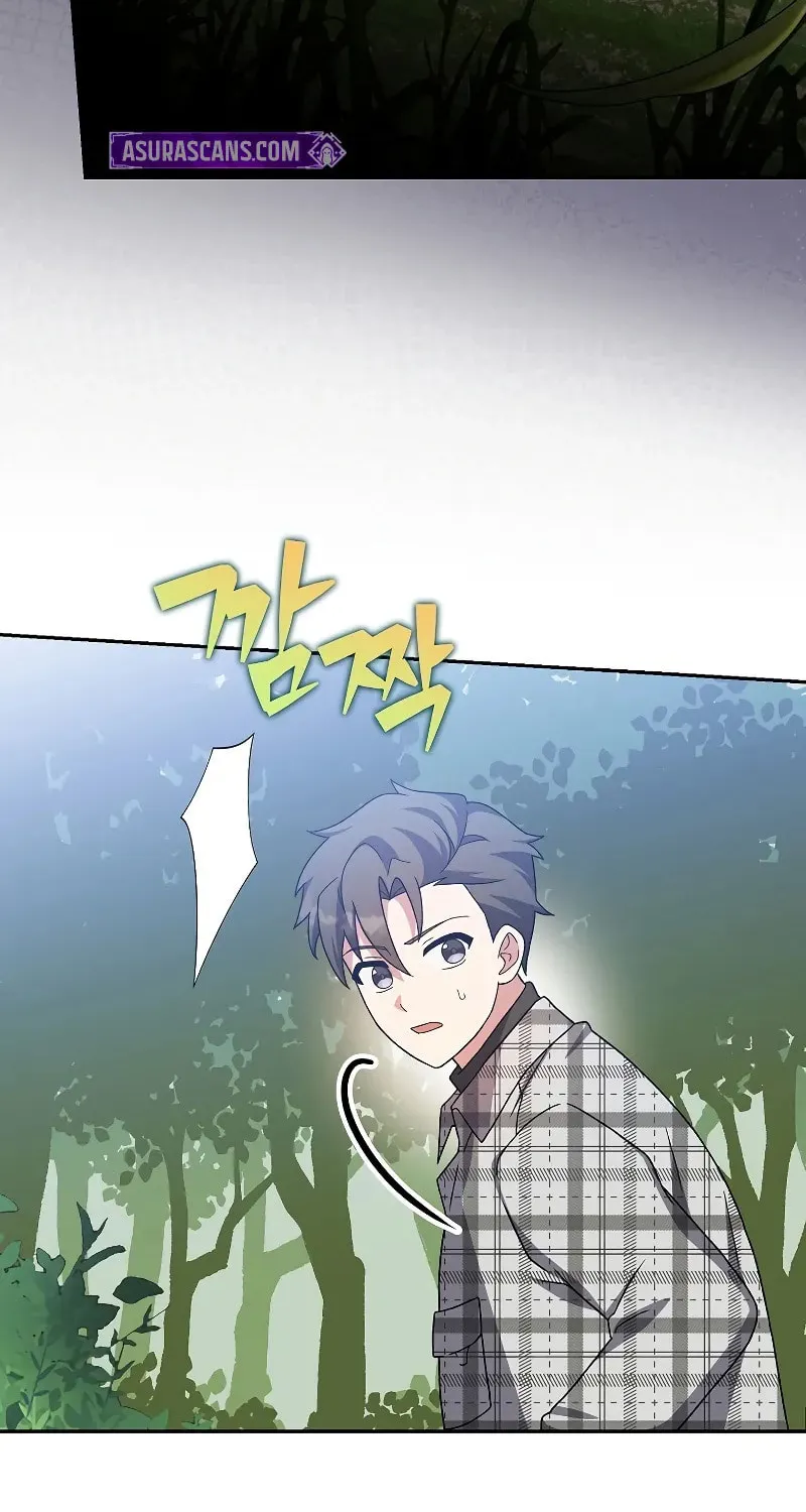 The Novel