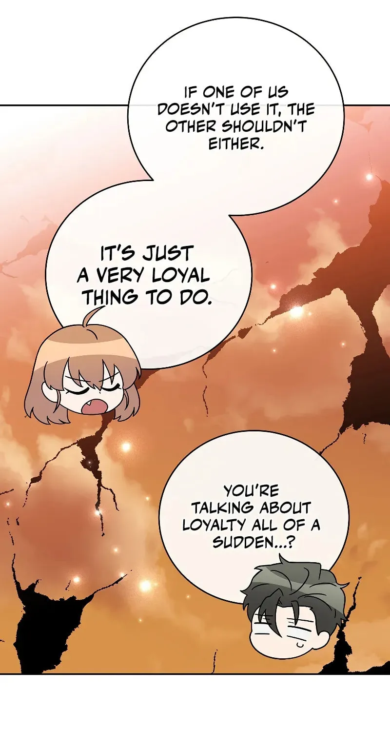 The Novel