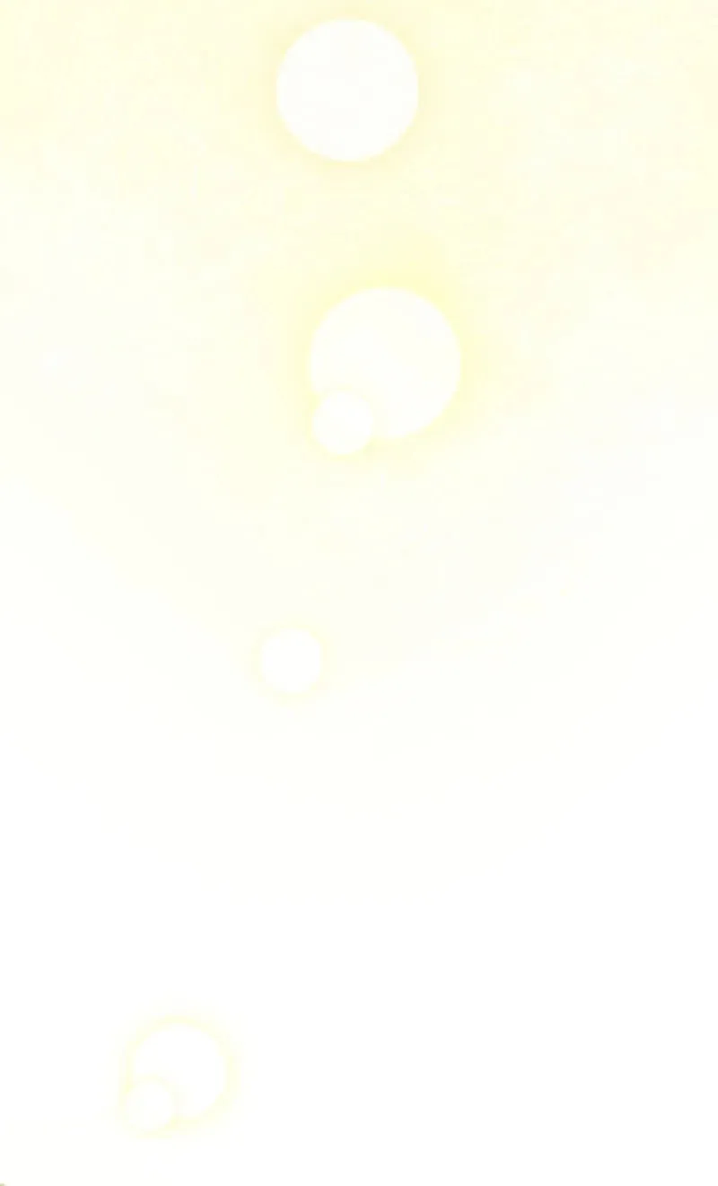 The Novel