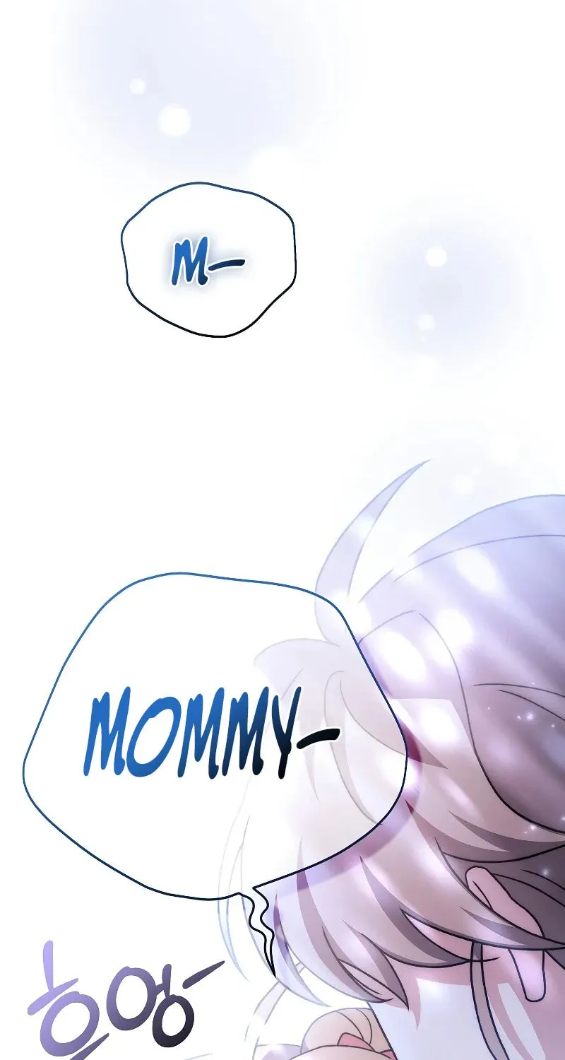 The Novel