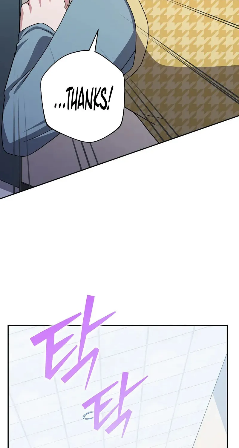 The Novel