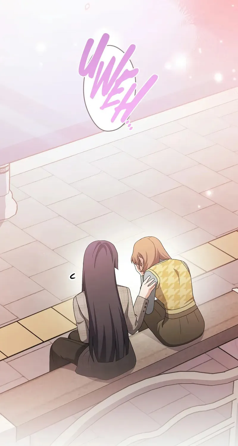 The Novel