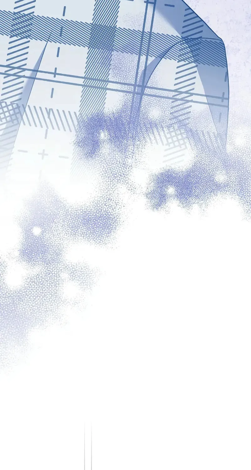 The Novel