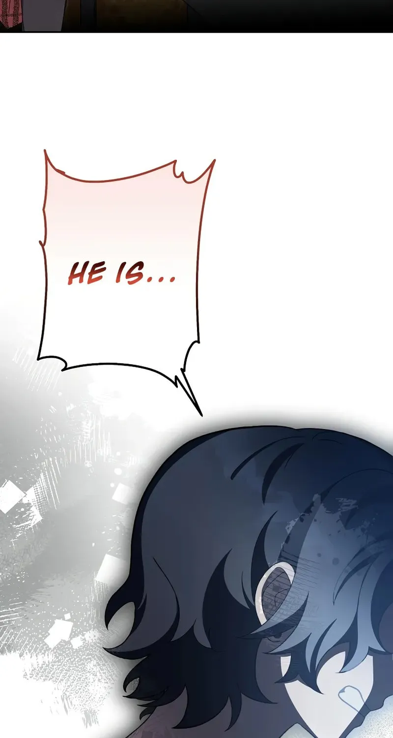 The Novel