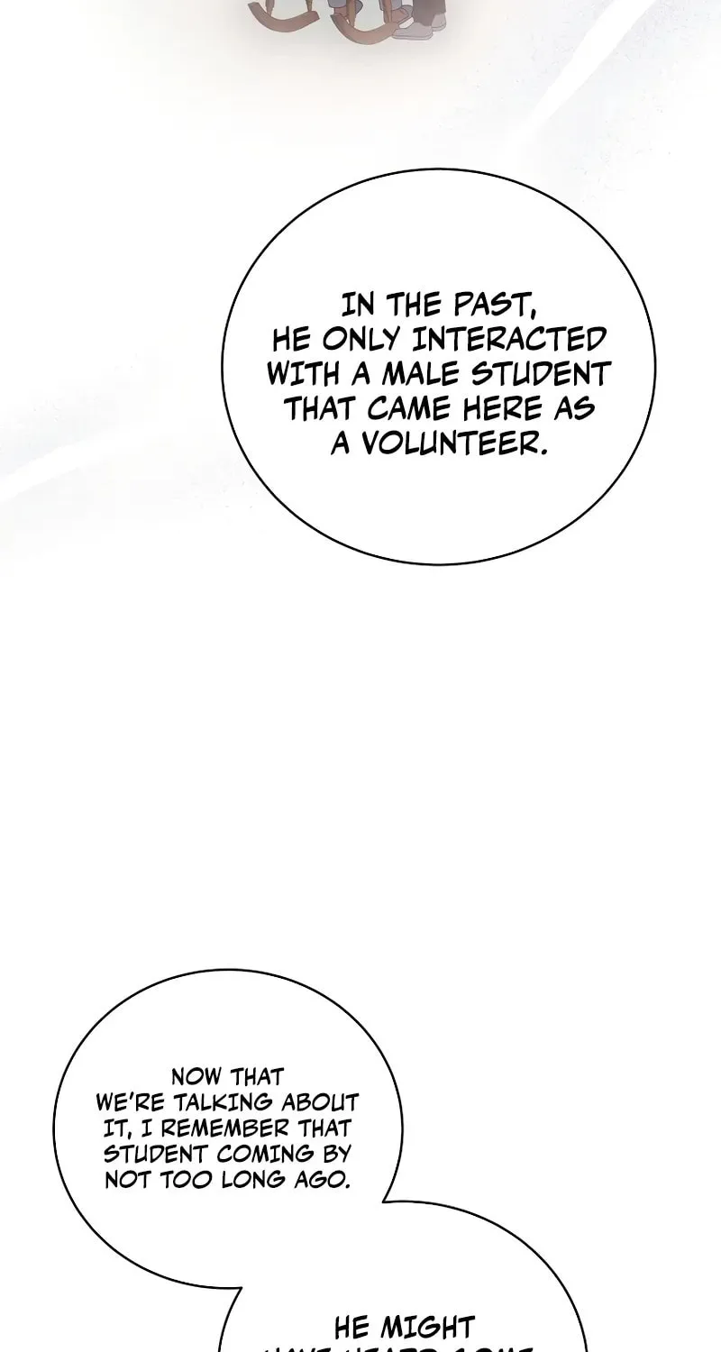 The Novel