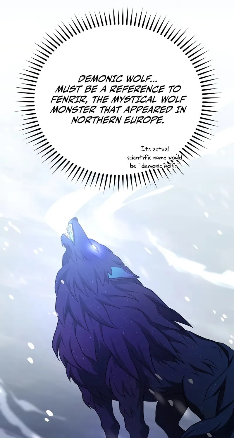 The Novel