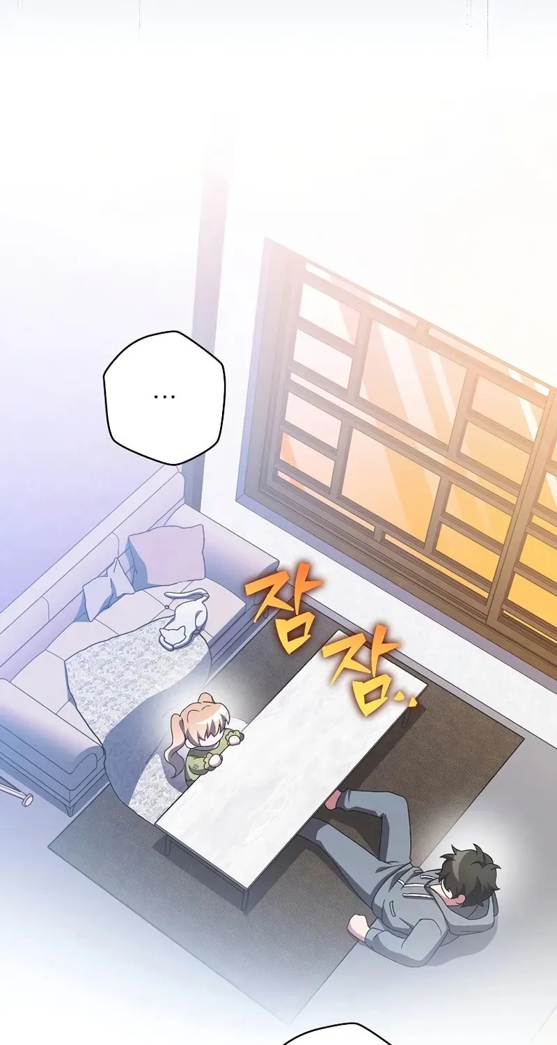 The Novel
