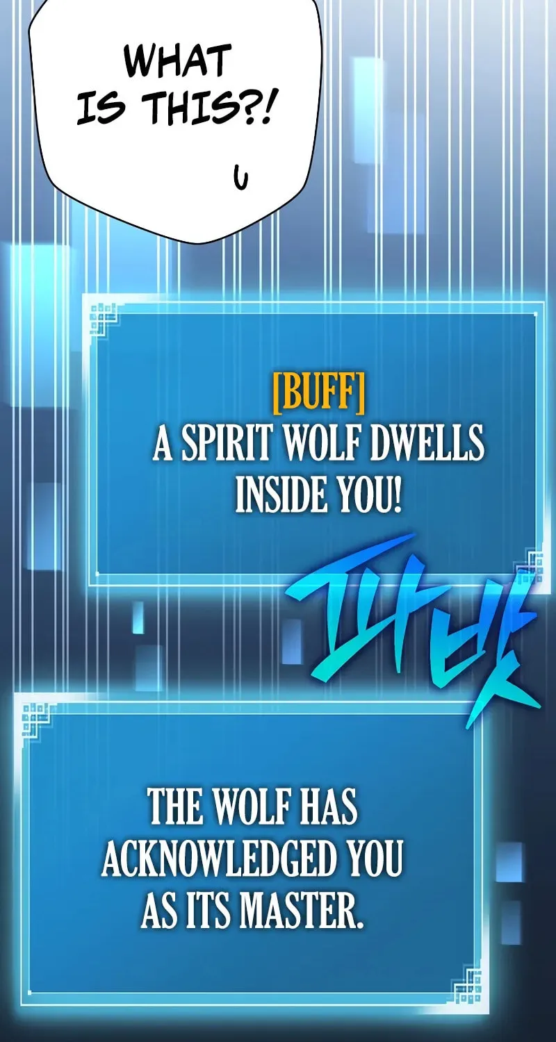 The Novel