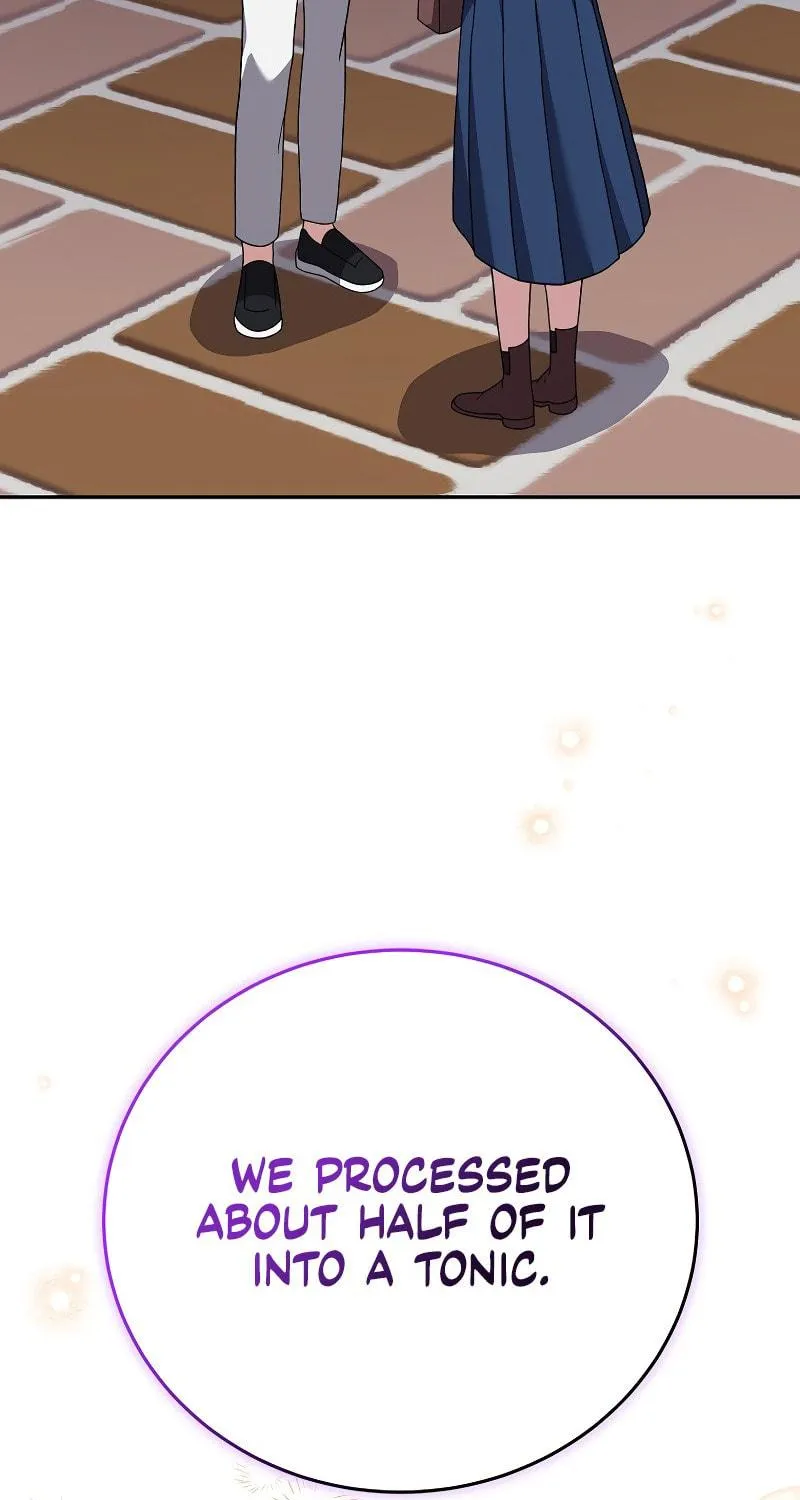 The Novel