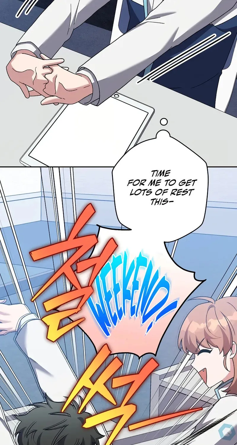 The Novel