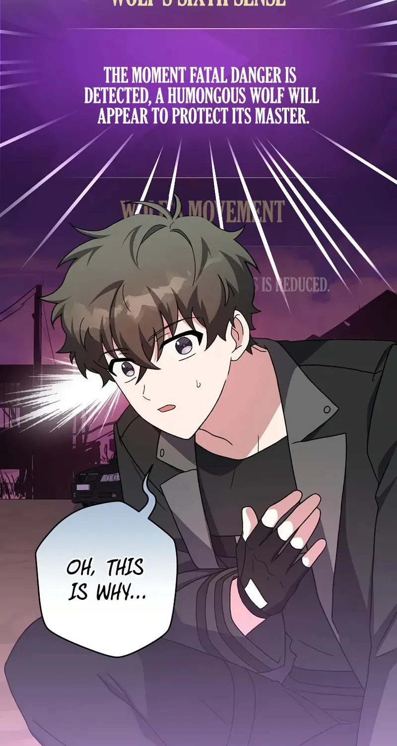 The Novel