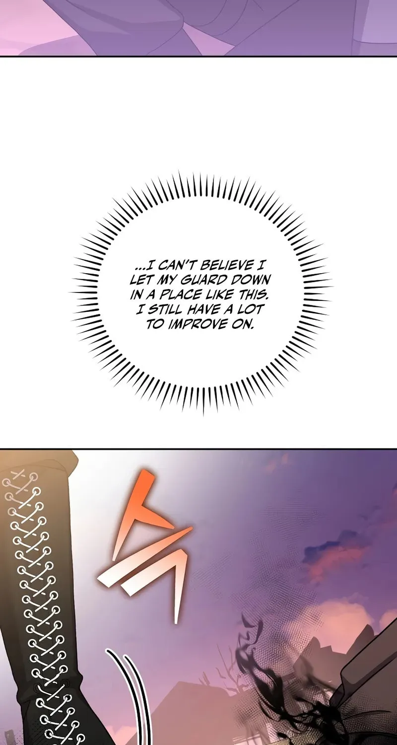 The Novel