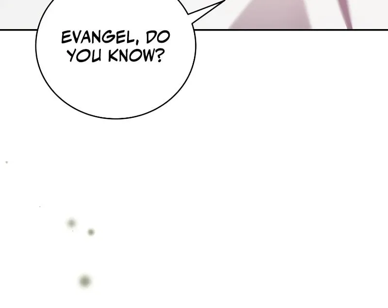 The Novel