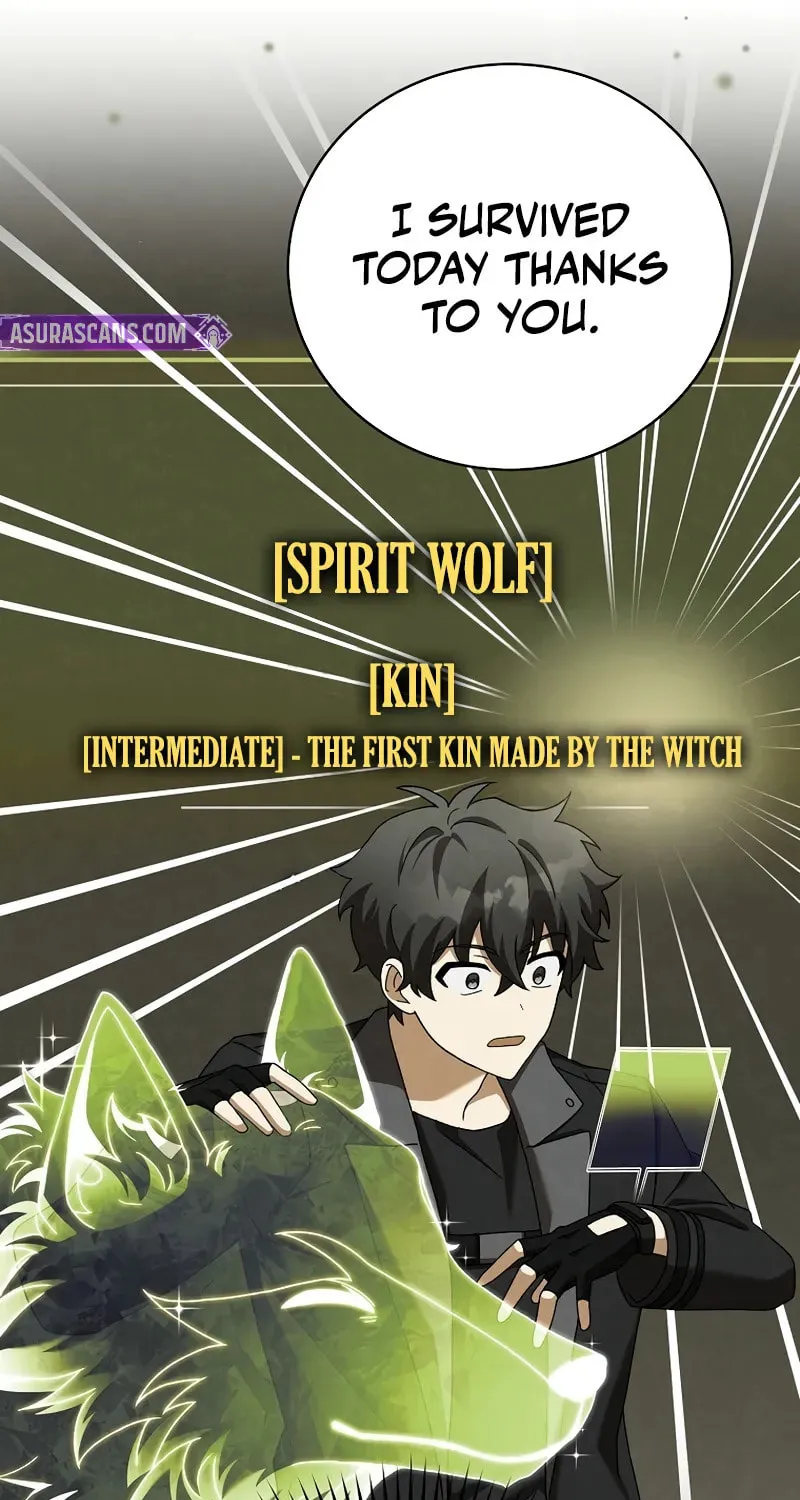 The Novel