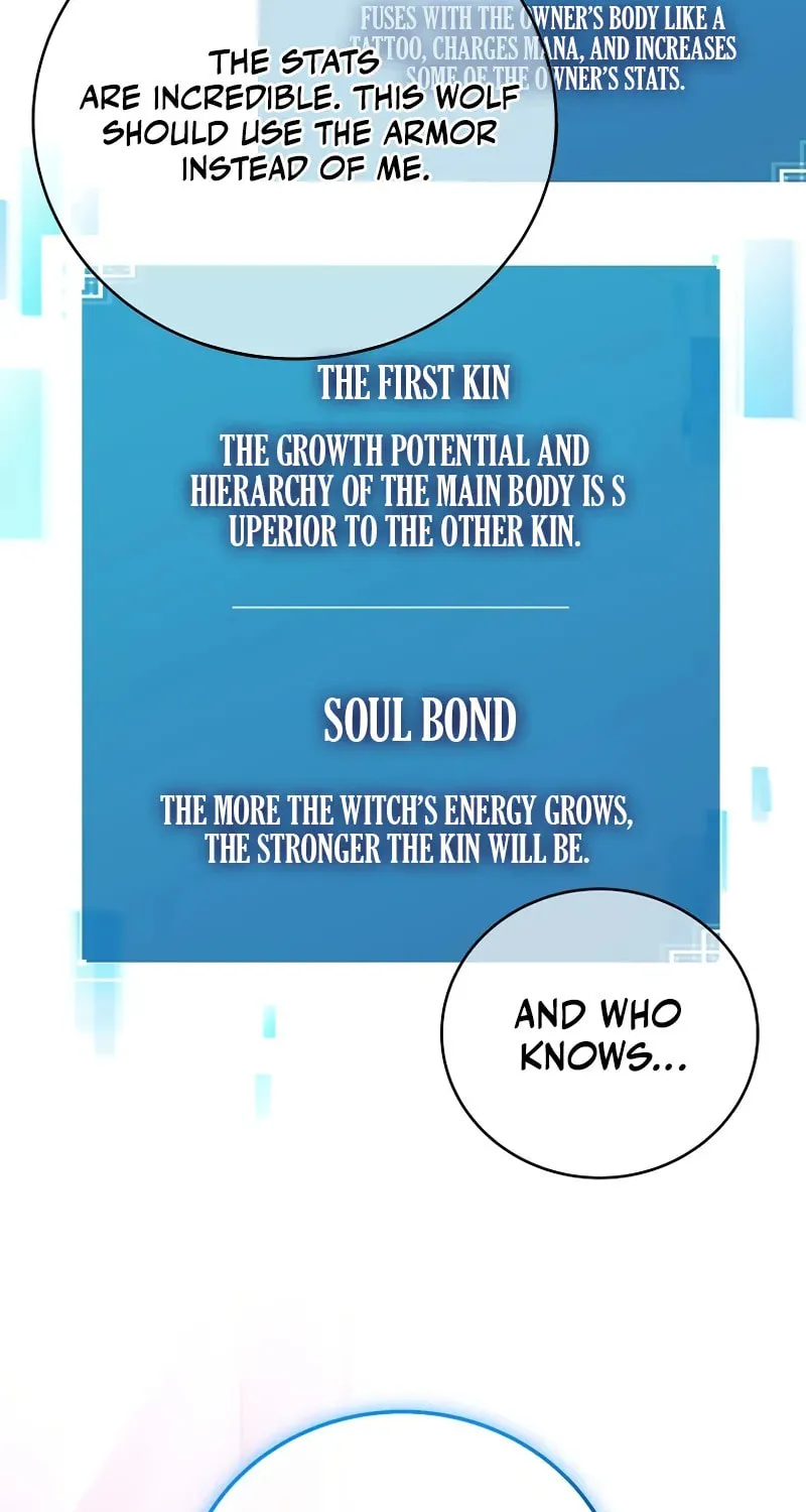 The Novel