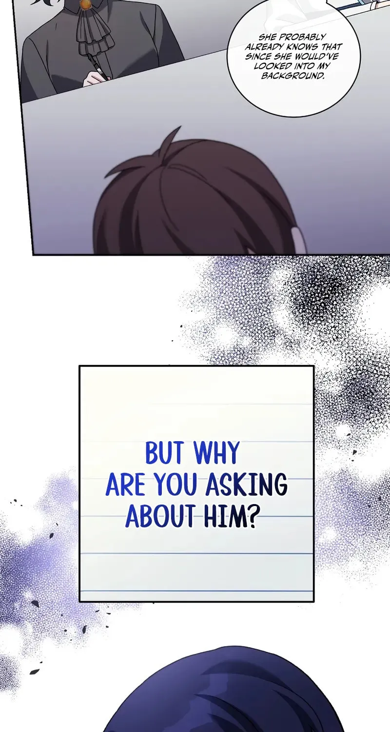 The Novel