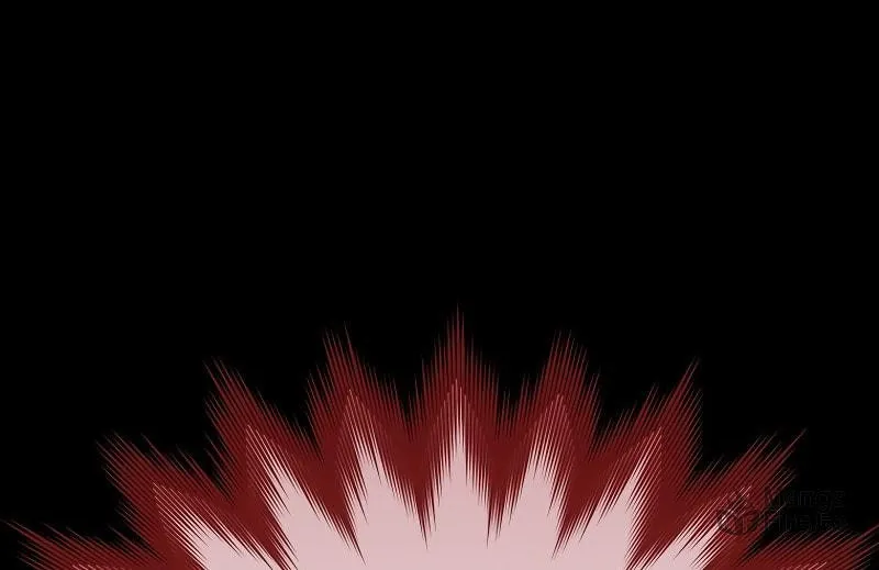 The Novel