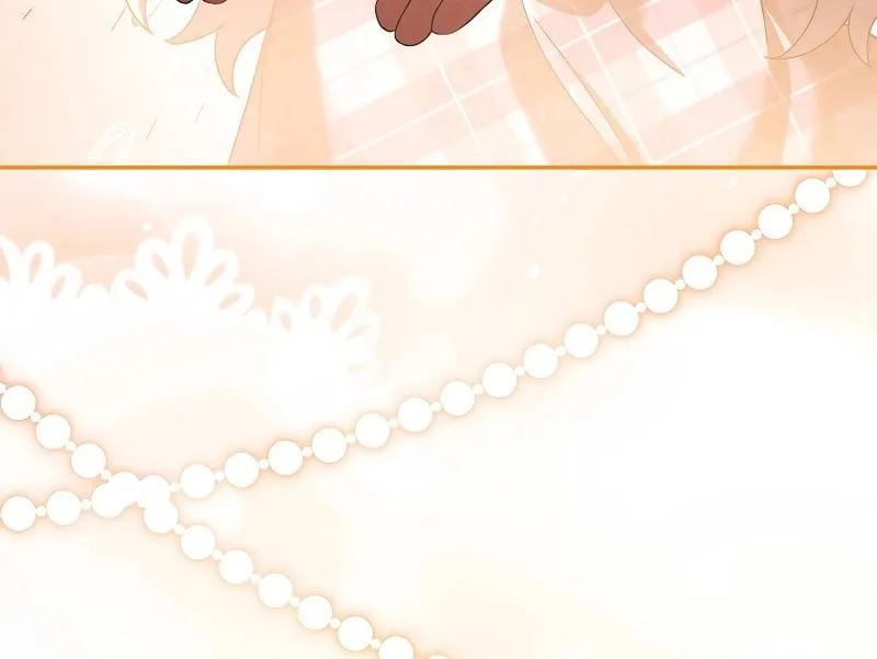 The Novel