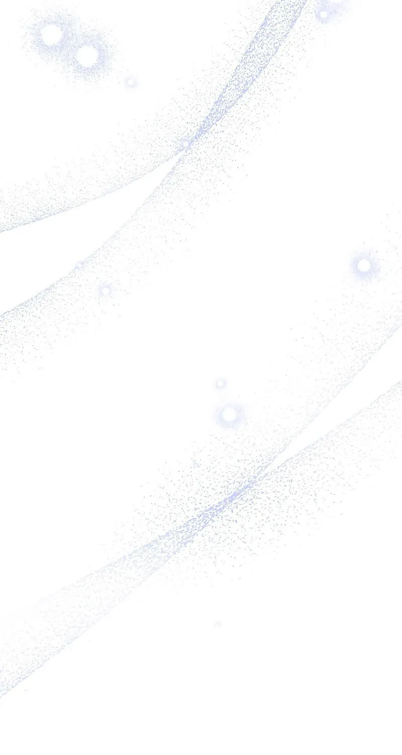 The Novel