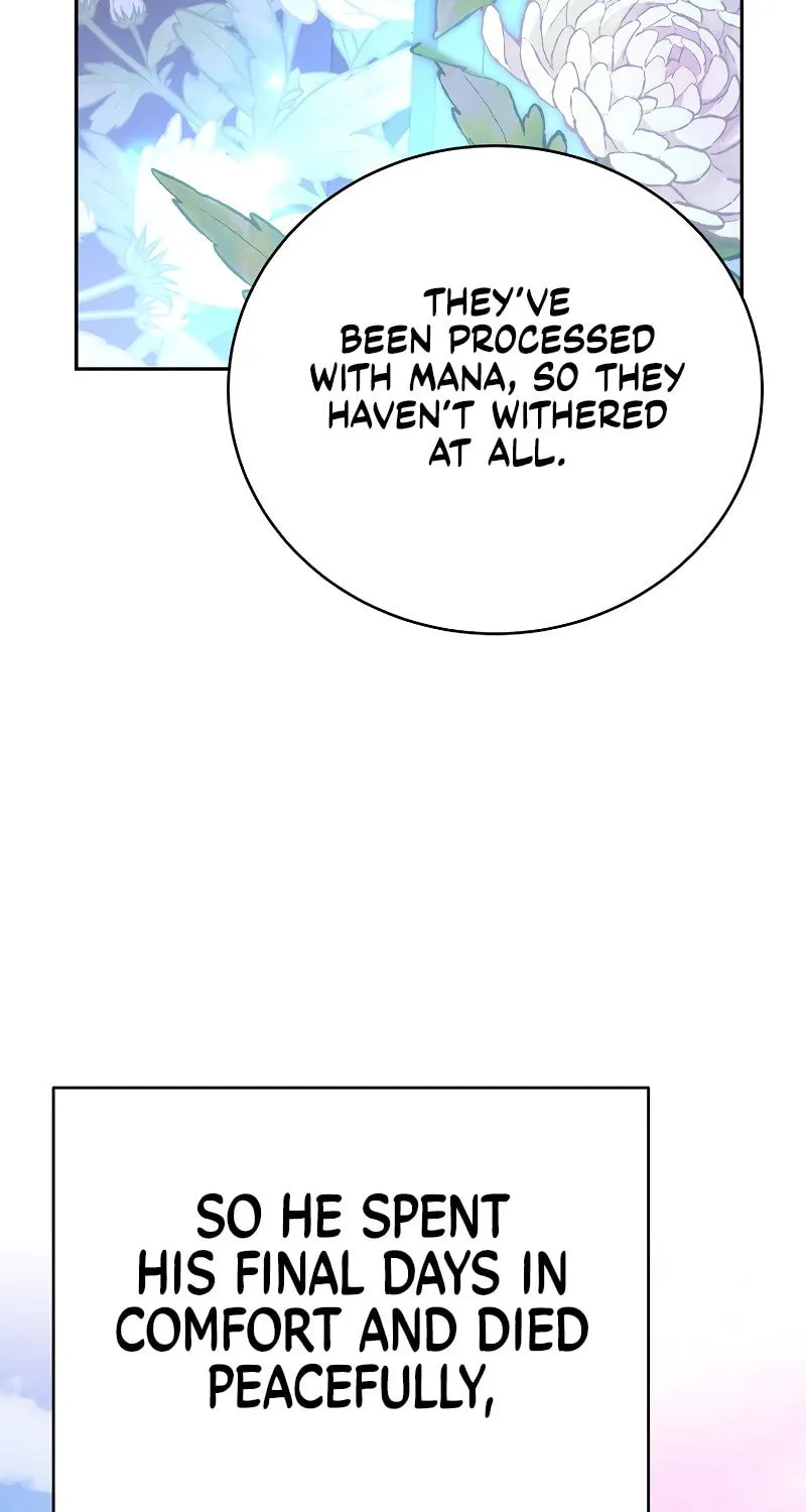 The Novel