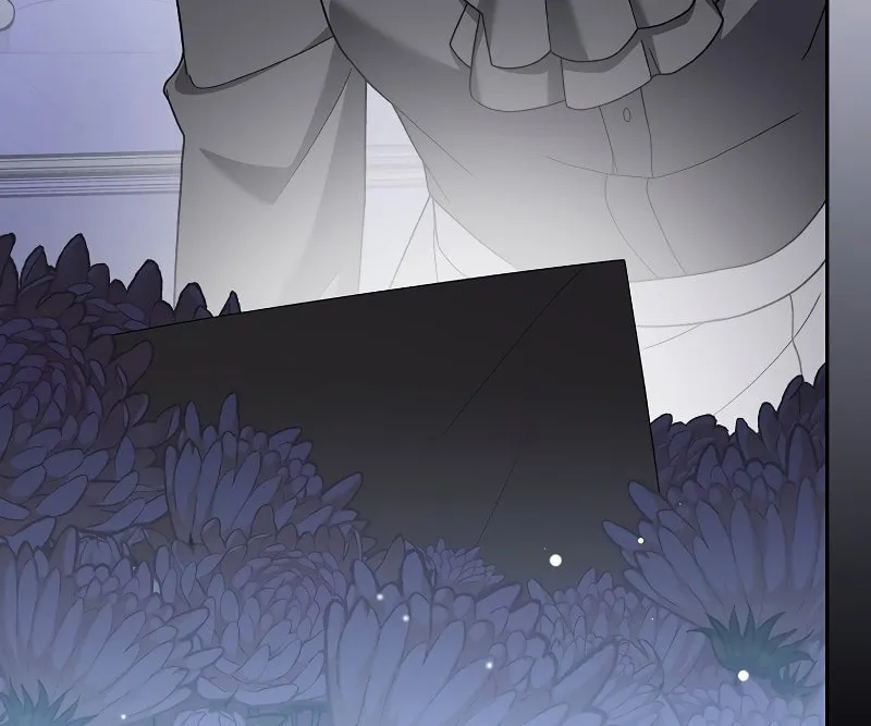 The Novel