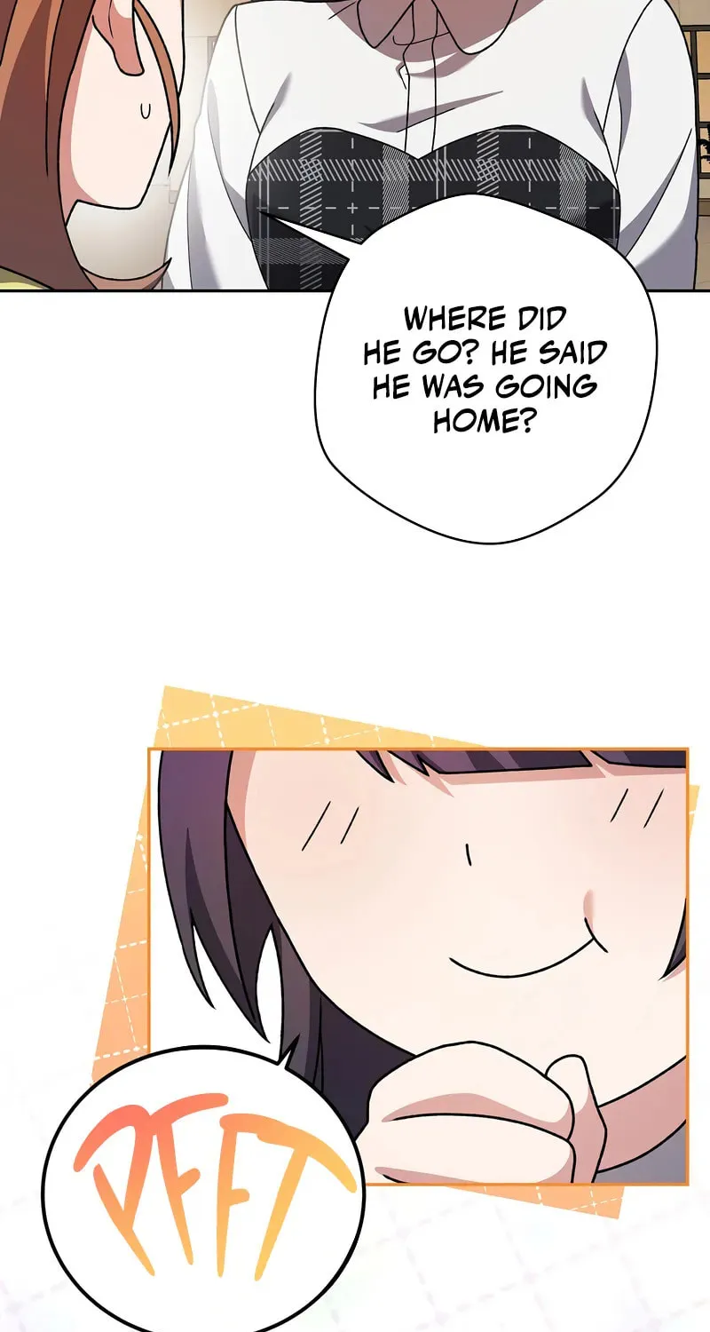 The Novel
