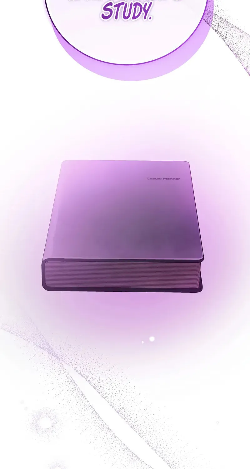 The Novel