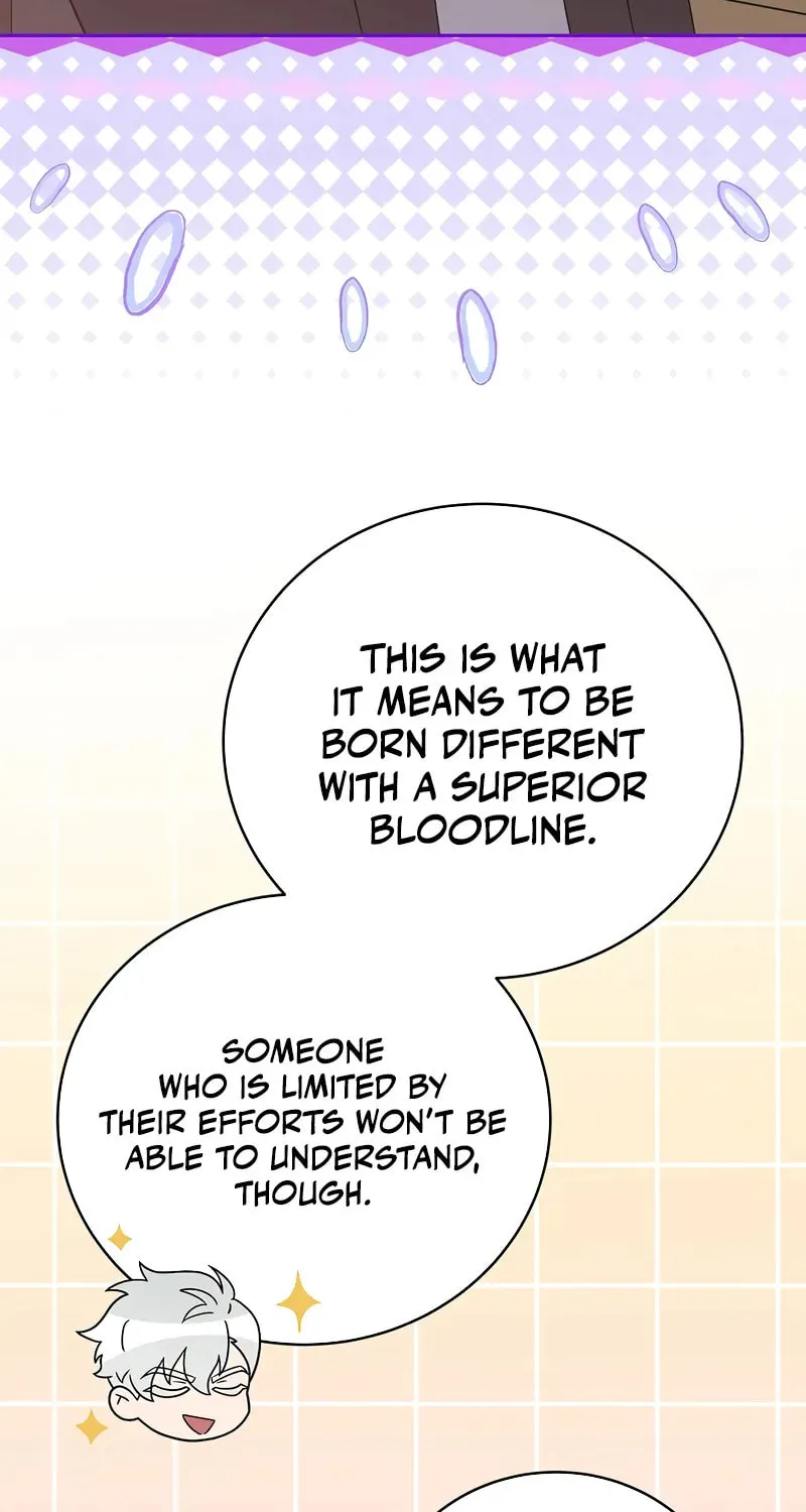 The Novel
