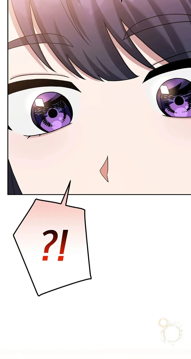 The Novel