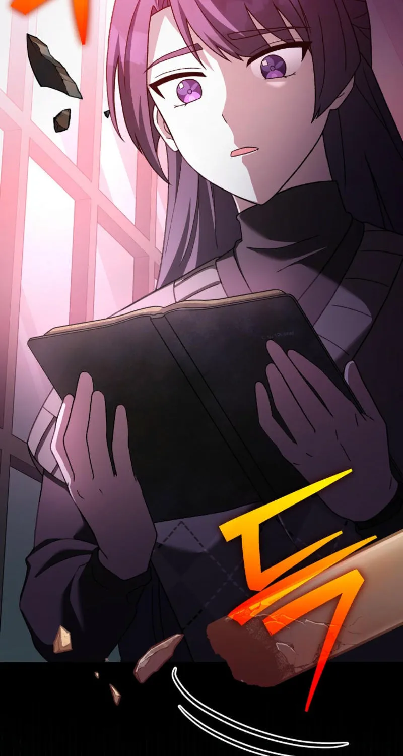 The Novel