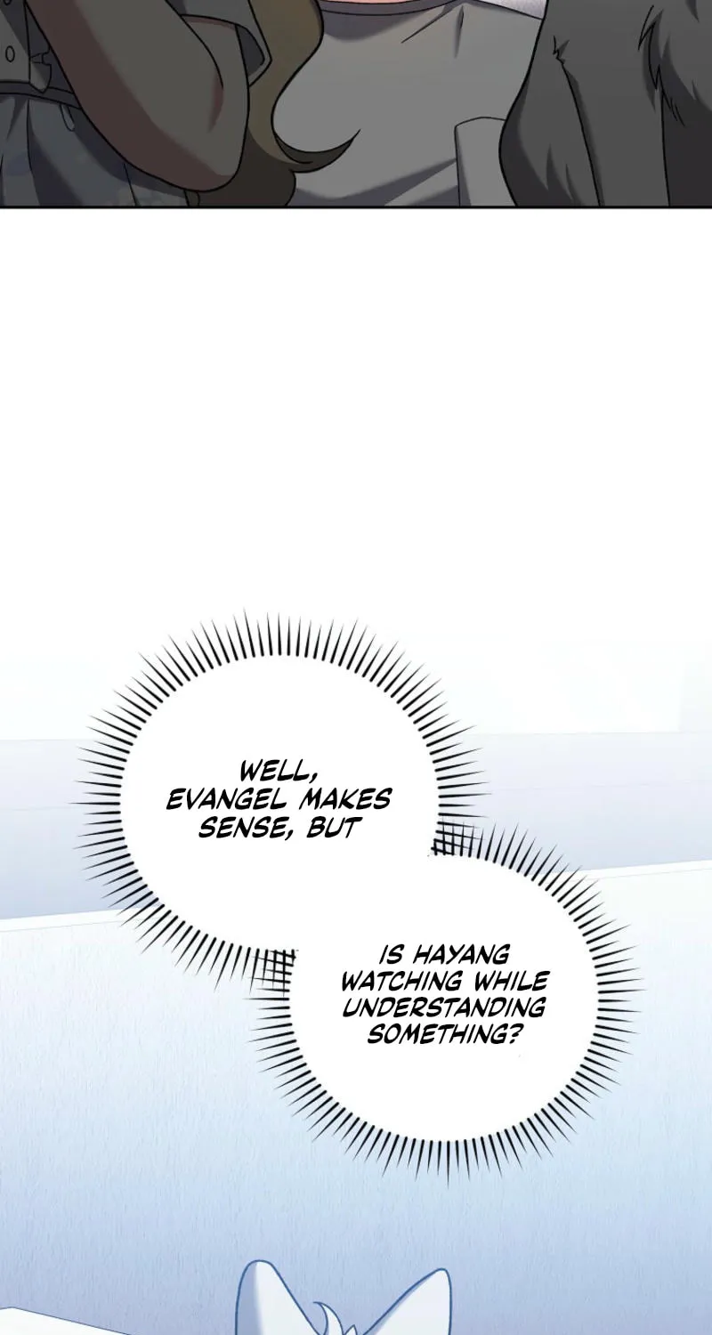 The Novel