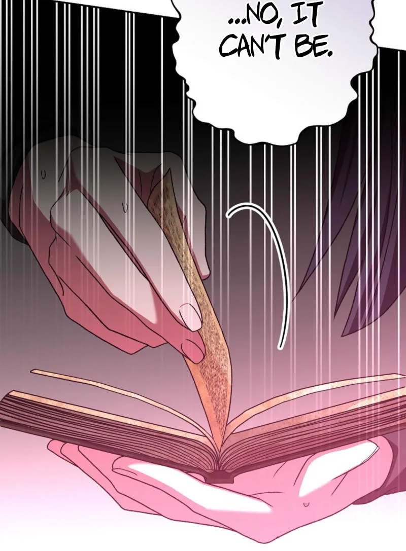 The Novel