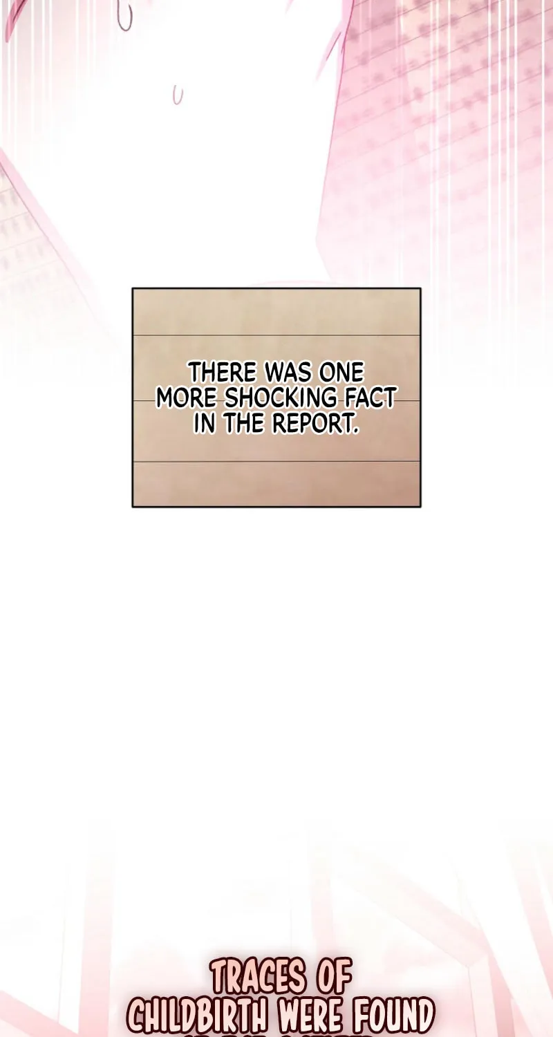 The Novel