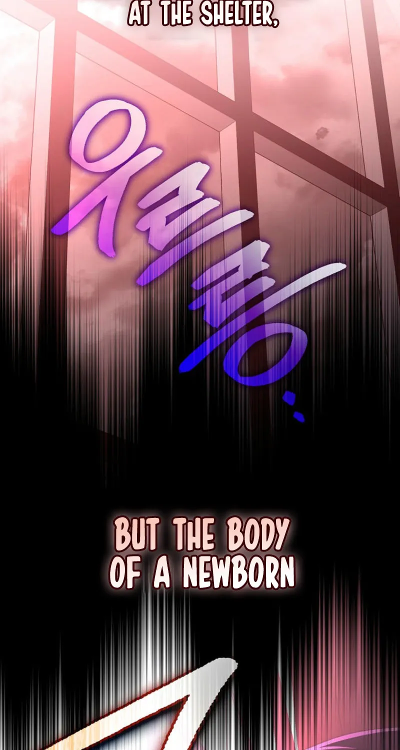 The Novel