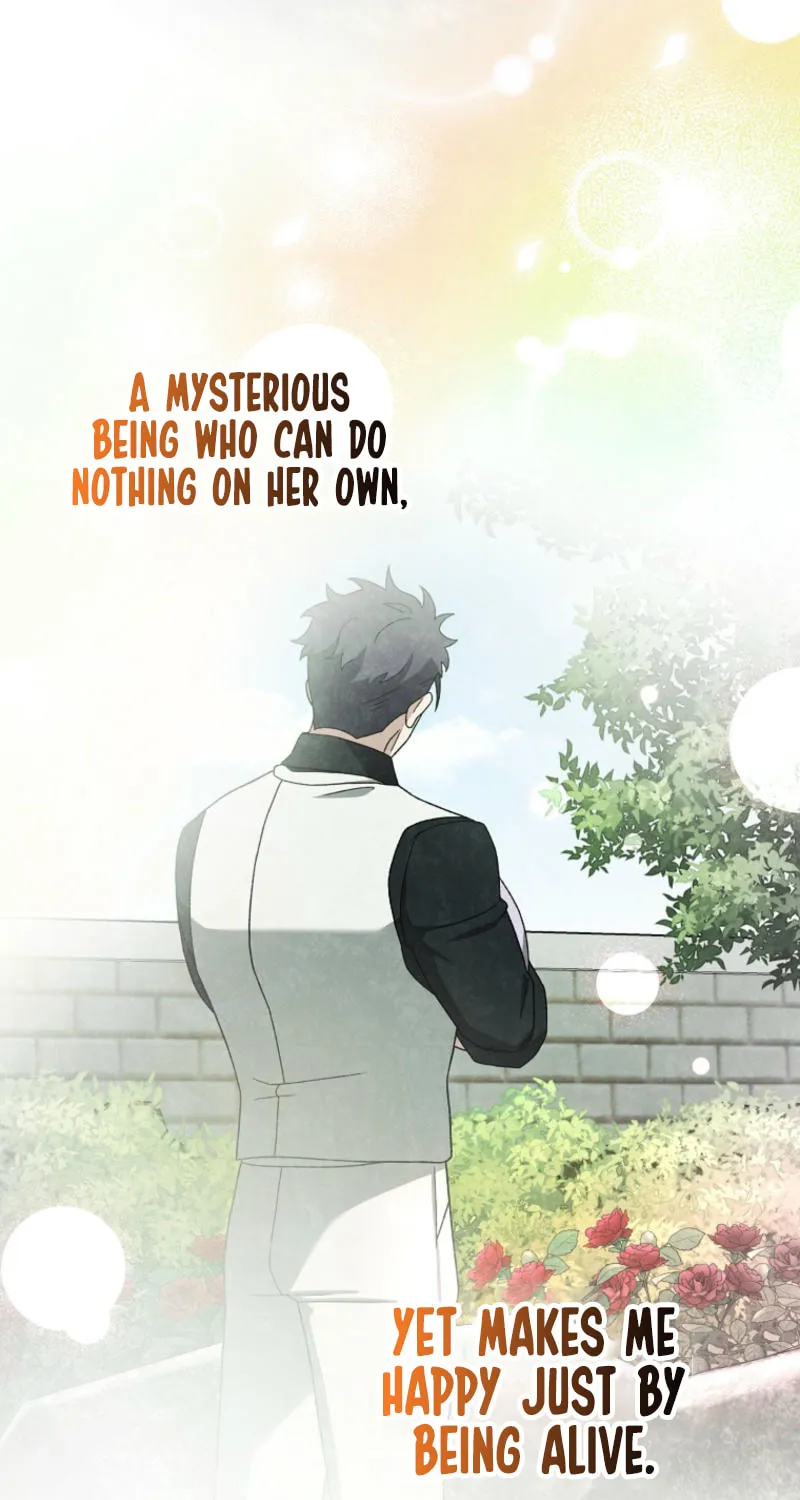 The Novel