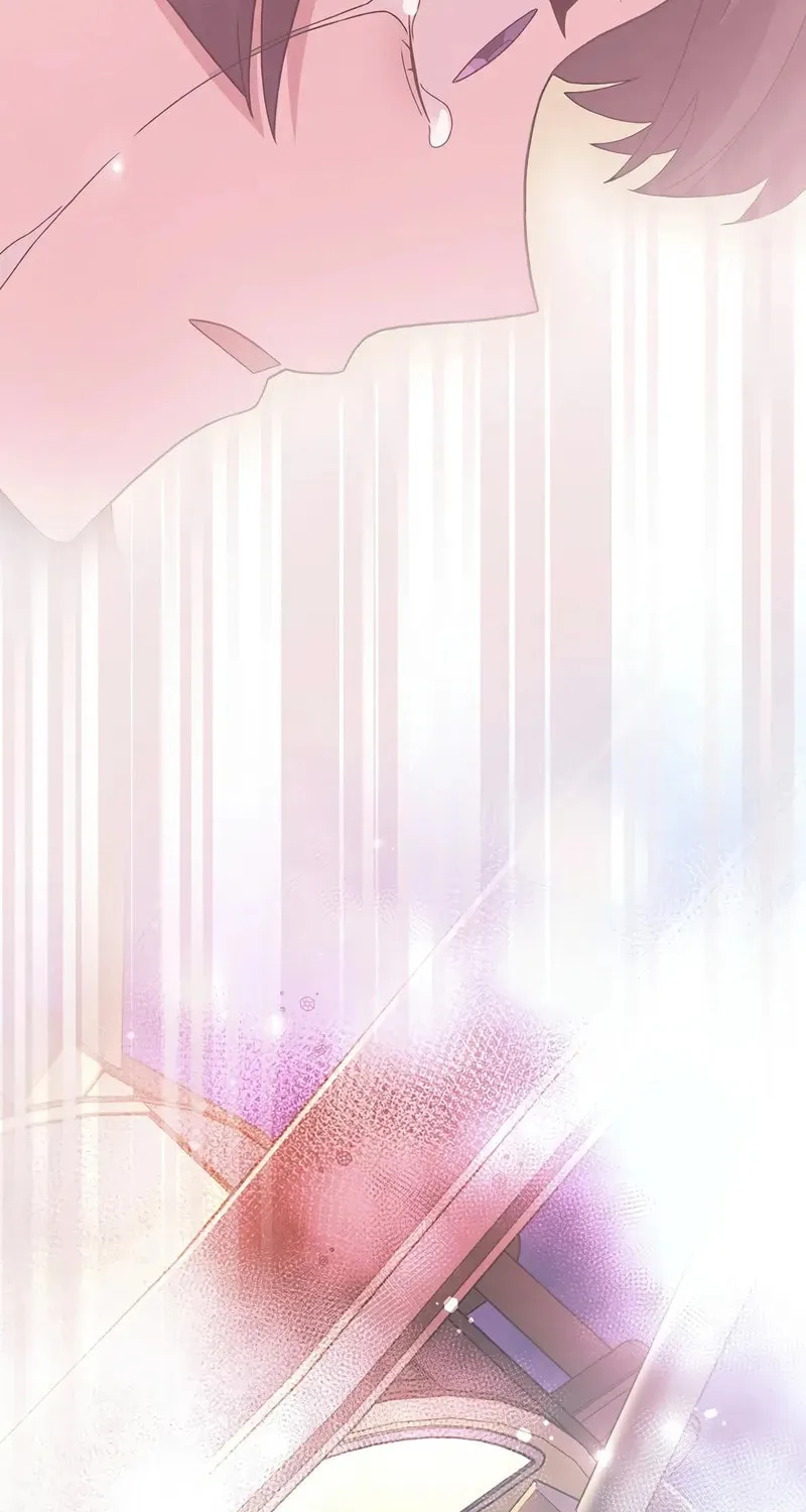 The Novel