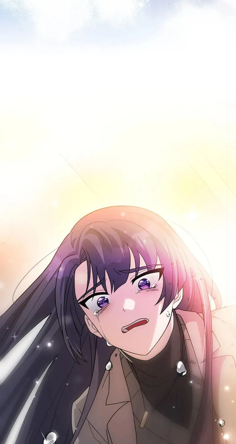The Novel