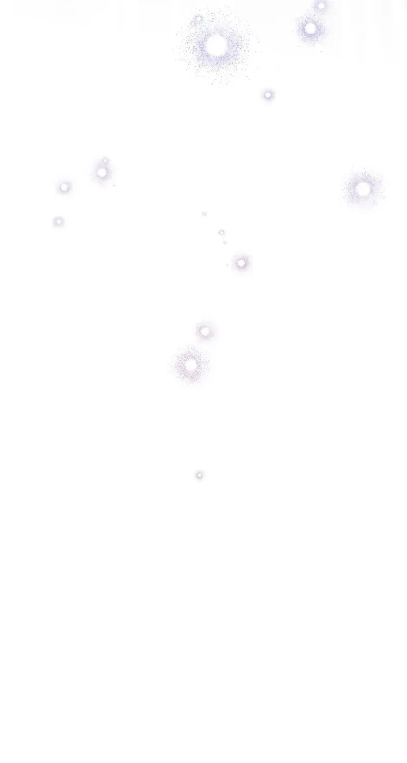 The Novel