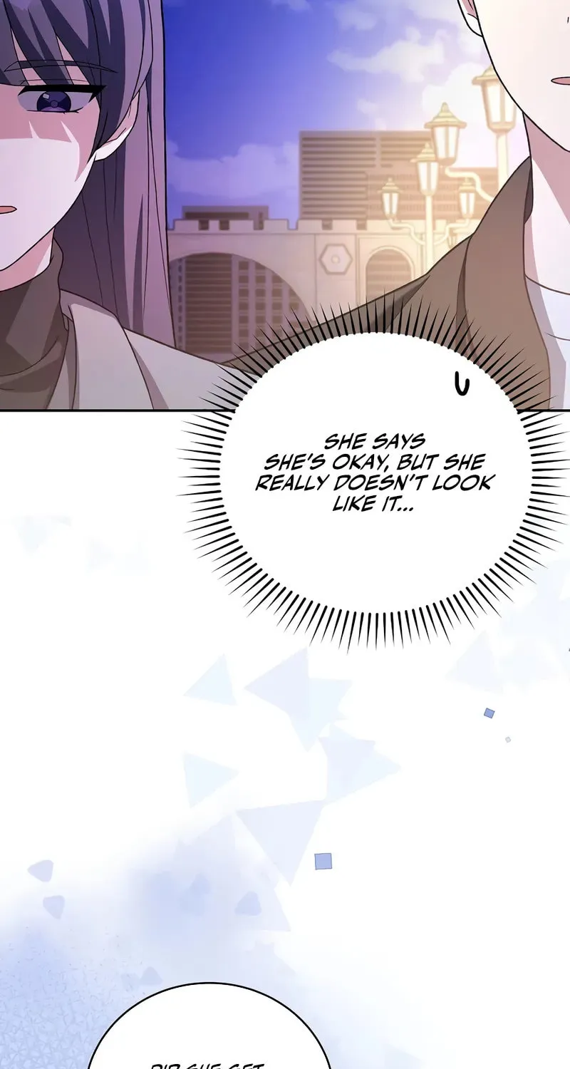 The Novel